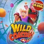 Wild Coaster`