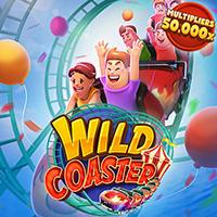 Wild Coaster`